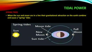 TIDAL POWER
SPRING TIDES
• When the sun and moon are in a line their gravitational attraction on the earth combine
and cause a “spring” tides
 