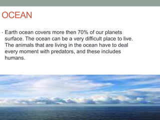 OCEAN
• Earth ocean covers more then 70% of our planets
 surface. The ocean can be a very difficult place to live.
 The animals that are living in the ocean have to deal
 every moment with predators, and these includes
 humans.
 