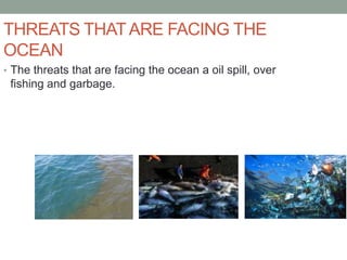THREATS THAT ARE FACING THE
OCEAN
• The threats that are facing the ocean a oil spill, over
 fishing and garbage.
 