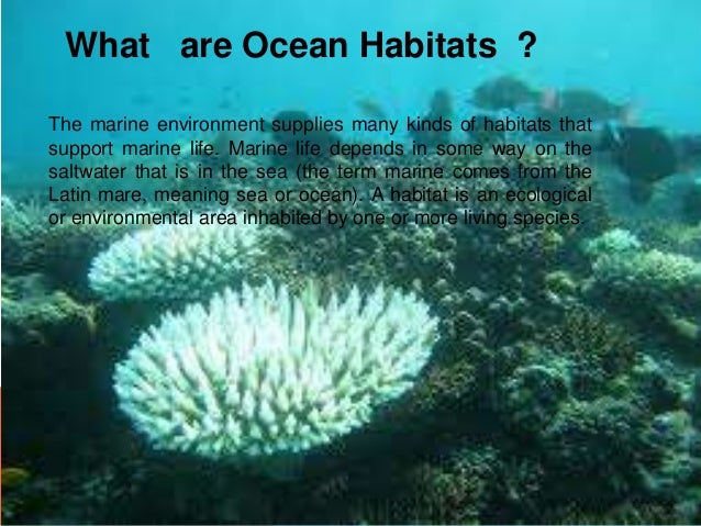 Ocean Habitats