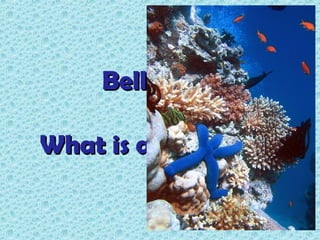 Bellringer

What is a coral reef?
 