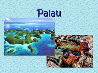Palau
 
