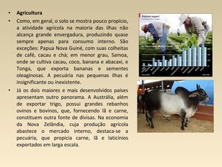 • Agricultura
• Como, em geral, o solo se mostra pouco propício,
a atividade agrícola na maioria das ilhas não
alcança grande envergadura, produzindo quase
sempre apenas para consumo interno. São
exceções: Papua Nova Guiné, com suas colheitas
de café, cacau e chá; em menor grau, Samoa,
onde se cultiva cacau, coco, banana e abacaxi, e
Tonga, que exporta bananas e sementes
oleaginosas. A pecuária nas pequenas ilhas é
insignificante ou inexistente.
• Já os dois maiores e mais desenvolvidos países
apresentam outro panorama. A Austrália, além
de exportar trigo, possui grandes rebanhos
ovinos e bovinos, que, fornecendo lã e carne,
constituem outra fonte de divisas. Na economia
da Nova Zelândia, cuja produção agrícola
abastece o mercado interno, destaca-se a
pecuária, que propicia carne, lã e laticínios
exportados em larga escala.
 