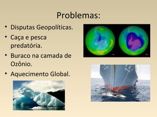 Problemas:
• Disputas Geopolíticas.
• Caça e pesca
predatória.
• Buraco na camada de
Ozônio.
• Aquecimento Global.
 