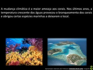 A mudança climática é a maior ameaça aos corais. Nos últimos anos, a
temperatura crescente das águas provocou o branqueamento dos corais
e obrigou certas espécies marinhas a deixarem o local.




                                 Apresentação elaborada pela Professora FERNANDA BRUM LOPES - Geografia
 