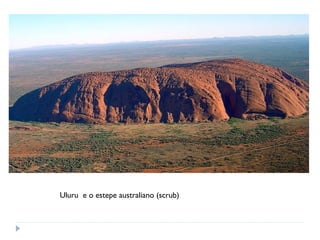 Uluru e o estepe australiano (scrub)
 