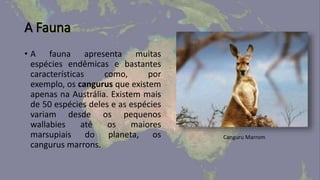 A Fauna
• A fauna apresenta muitas
espécies endêmicas e bastantes
características como, por
exemplo, os cangurus que existem
apenas na Austrália. Existem mais
de 50 espécies deles e as espécies
variam desde os pequenos
wallabies até os maiores
marsupiais do planeta, os
cangurus marrons.
Canguru Marrom
 