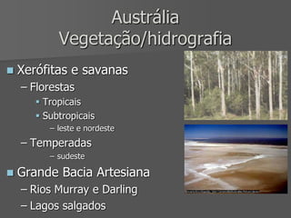Austrália
Vegetação/hidrografia
 Xerófitas e savanas
– Florestas
 Tropicais
 Subtropicais
– leste e nordeste
– Temperadas
– sudeste
 Grande Bacia Artesiana
– Rios Murray e Darling
– Lagos salgados
 