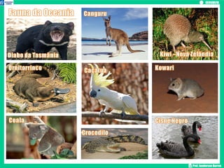 Prof. Janderson Barros
 