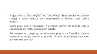 A água viva, a “Box Jellyfish” ou “Sea Wasp”. Seus tentáculos podem
chegar a vários metros de comprimento e liberam uma toxina
mortal.
Outra água viva, a “Irukandji” é o menor animal do mundo com a
capacidade de matar um homem adulto.
Até mesmo os cangurus, considerados pragas na Austrália, podem
representar perigo devido ao grande número de acidentes causados
por eles nas estradas.
 