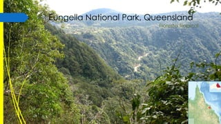 Eungella National Park, Queensland
Floresta Tropical

 