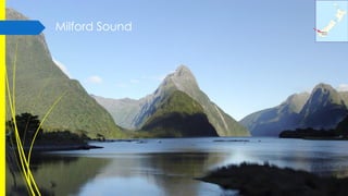 Milford Sound

 