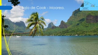 Baía de Cook - Moorea.

Arquipélago da
Sociedade
Polinésia Francesa

 