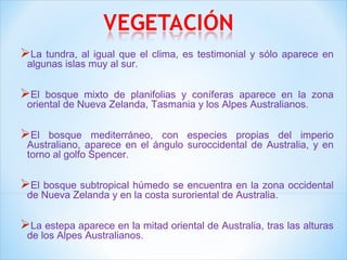 La tundra, al igual que el clima, es testimonial y sólo aparece en 
algunas islas muy al sur. 
El bosque mixto de planifolias y coníferas aparece en la zona 
oriental de Nueva Zelanda, Tasmania y los Alpes Australianos. 
El bosque mediterráneo, con especies propias del imperio 
Australiano, aparece en el ángulo suroccidental de Australia, y en 
torno al golfo Spencer. 
El bosque subtropical húmedo se encuentra en la zona occidental 
de Nueva Zelanda y en la costa suroriental de Australia. 
La estepa aparece en la mitad oriental de Australia, tras las alturas 
de los Alpes Australianos. 
 