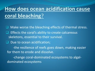 Oceanic acidification | PPTX