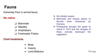Fauna
Extremely Poor in animal fauna
No native
❏ Mammals
❏ Reptiles
❏ Amphibians
❏ Freshwater Fishes
Chief Inhabitants
➢ Birds
➢ Insects
➢ Land Molluscs
➔ No climatic reason
➔ Mammals and insects seems to
flourish when introduced by
Humans.
➔ Portuguese brought the goats to
island in 1513 and the ravages of
these animals destroyed the
vegetation.
 