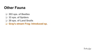 Other Fauna
❏ 203 sps. of Beetles
❏ 33 sps. of Spiders
❏ 29 sps. of Land Snails
❏ Gray's stream Frog: Introduced sp.
 