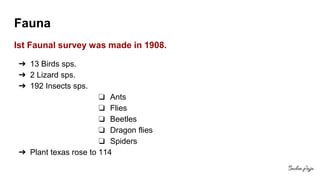 Fauna
Ist Faunal survey was made in 1908.
➔ 13 Birds sps.
➔ 2 Lizard sps.
➔ 192 Insects sps.
❏ Ants
❏ Flies
❏ Beetles
❏ Dragon flies
❏ Spiders
➔ Plant texas rose to 114
 