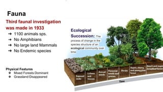 Fauna
Third faunal investigation
was made in 1933
➔ 1100 animals sps.
➔ No Amphibians
➔ No large land Mammals
➔ No Endemic species
Physical Features
❖ Mixed Forests Dominant
❖ Grassland Disappeared
.
Ecological
Succession: The
process of change in the
species structure of an
ecological community over
time
 