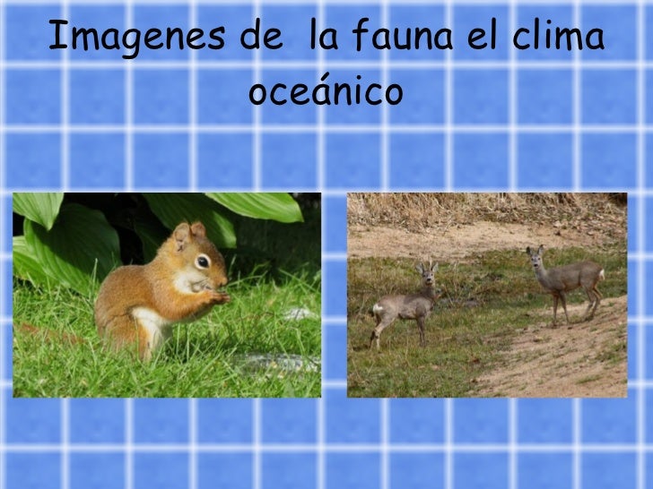 Oceanico. Laura y Sandra Oceanico. Laura y Sandra