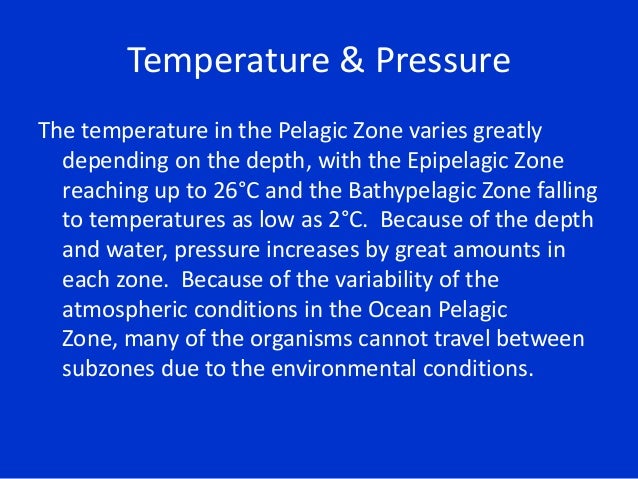 oceanic pelagic zone biology biome project pelagic zone