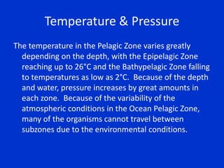 Oceanic pelagic zone biology biome project FINAL | PPT