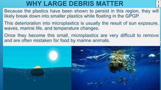 WHY LARGE DEBRIS MATTER
Because the plastics have been shown to persist in this region, they will
likely break down into smaller plastics while floating in the GPGP.
This deterioration into microplastics is usually the result of sun exposure,
waves, marine life, and temperature changes.
Once they become this small, microplastics are very difficult to remove
and are often mistaken for food by marine animals.
1
2
 