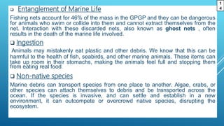  Entanglement of Marine Life
Fishing nets account for 46% of the mass in the GPGP and they can be dangerous
for animals who swim or collide into them and cannot extract themselves from the
net. Interaction with these discarded nets, also known as ghost nets , often
results in the death of the marine life involved.
 Ingestion
Animals may mistakenly eat plastic and other debris. We know that this can be
harmful to the health of fish, seabirds, and other marine animals. These items can
take up room in their stomachs, making the animals feel full and stopping them
from eating real food.
 Non-native species
Marine debris can transport species from one place to another. Algae, crabs, or
other species can attach themselves to debris and be transported across the
ocean. If the species is invasive, and can settle and establish in a new
environment, it can outcompete or overcrowd native species, disrupting the
ecosystem.
1
4
 