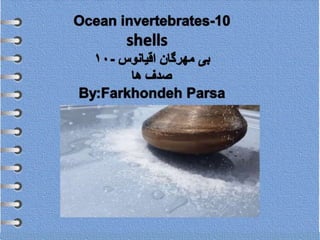 Ocean invertebrates -10