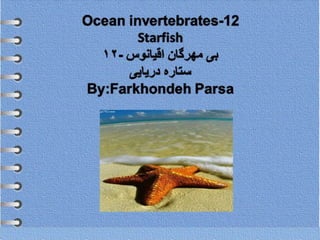 Ocean invertebrates -12