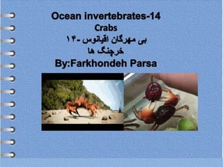 Ocean invertebrates- 14