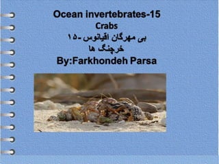 Ocean invertebrates- 15