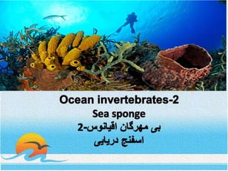 Ocean invertebrates-  2