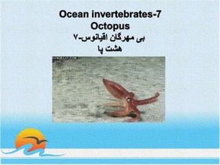Ocean invertebrates -7