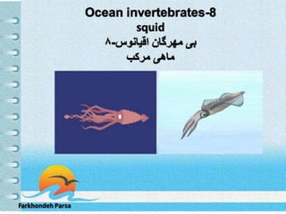 Ocean invertebrates -8