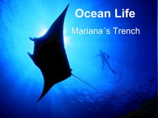 Ocean Life Mariana´s Trench 