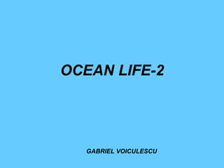 OCEAN LIFE-2 GABRIEL VOICULESCU 