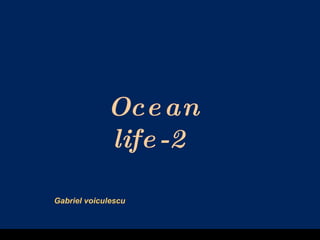 Ocean life-2   Gabriel voiculescu 