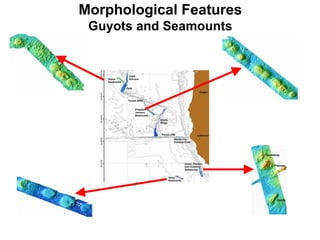 Guyote Sea floor morphology | PPT