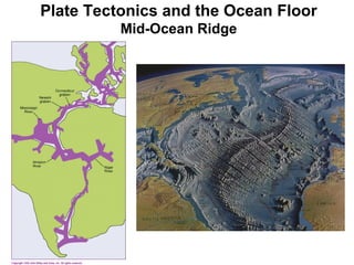 Sea floor morphology | PPT
