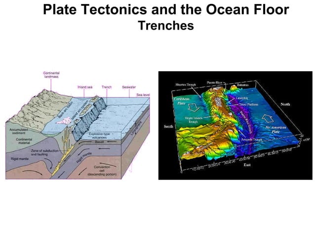 Sea floor morphology | PPT | Geography | Science