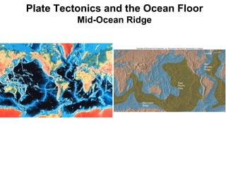 Plate Tectonics and the Ocean Floor Mid-Ocean Ridge 