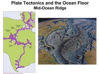 Plate Tectonics and the Ocean Floor Mid-Ocean Ridge 