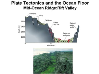 Plate Tectonics and the Ocean Floor Mid-Ocean Ridge:Rift Valley 