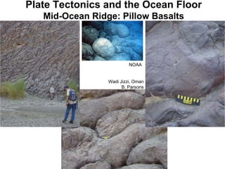 Plate Tectonics and the Ocean Floor Mid-Ocean Ridge: Pillow Basalts Wadi Jizzi, Oman B. Parsons NOAA 