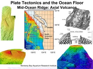 Plate Tectonics and the Ocean Floor Mid-Ocean Ridge: Axial Volcanos Monterey Bay Aquarium Research Institute http://www.mbari.org/data/mapping/seamounts/default.htm 
