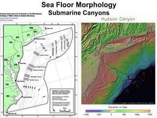 Sea Floor Morphology Submarine Canyons 