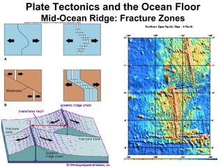 Plate Tectonics and the Ocean Floor Mid-Ocean Ridge: Fracture Zones 