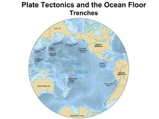Plate Tectonics and the Ocean Floor Trenches 