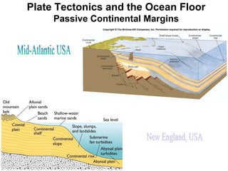 Plate Tectonics and the Ocean Floor Passive Continental Margins 